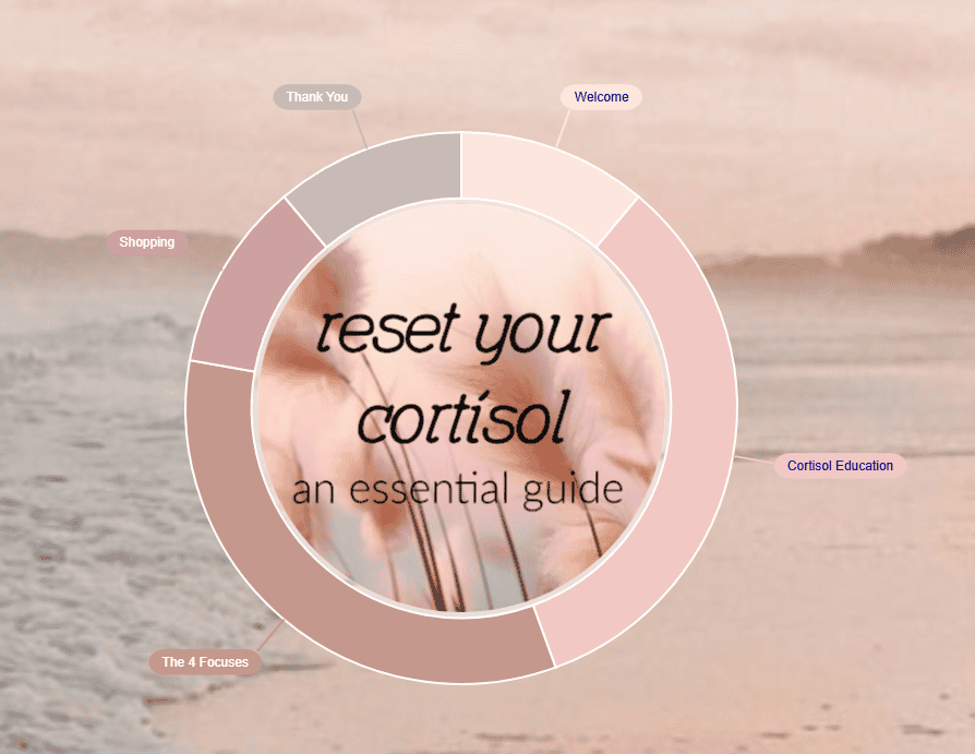 cortisol reset wheel